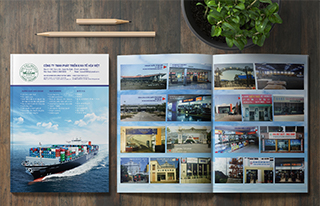 Brochure xuất nhập khẩu Hòa Việt