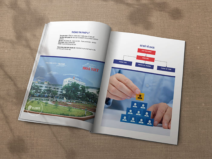 Thiết kế brochure xuất nhập khẩu Hòa Việt 