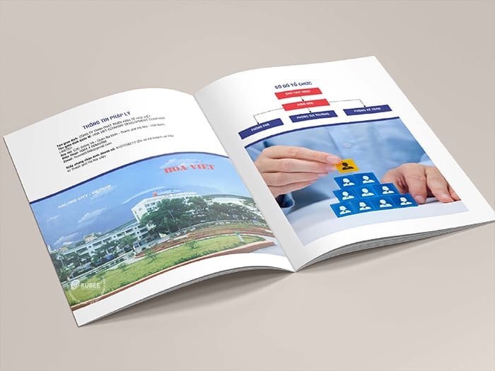 dịch vụ thiết kế và in brochure tại Hà Nội