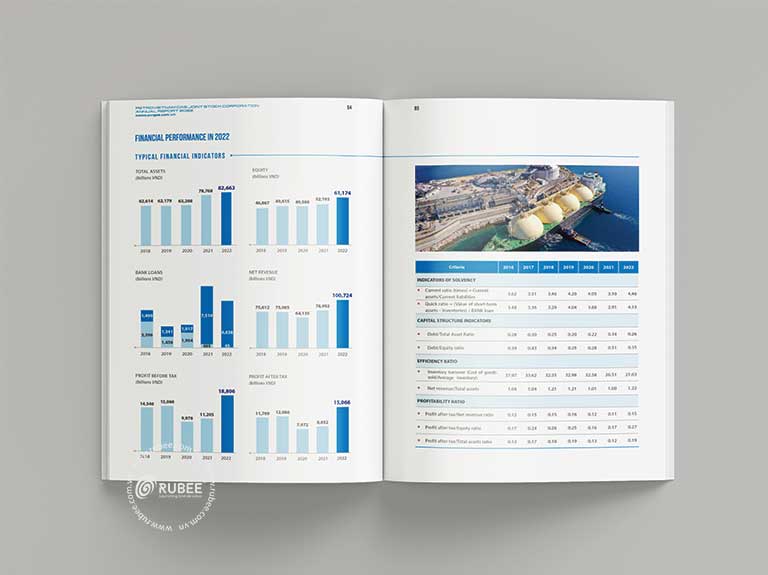Báo cáo thường niên PV GAS 2022 trang biểu đồ tài chính