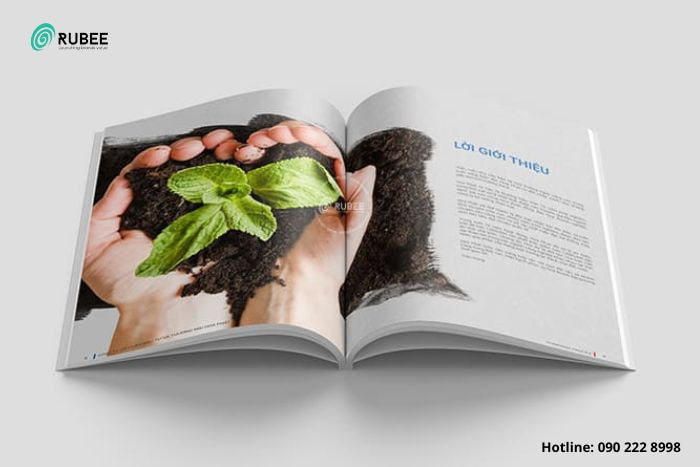 Thiết kế profile cho công ty bằng Illustrator