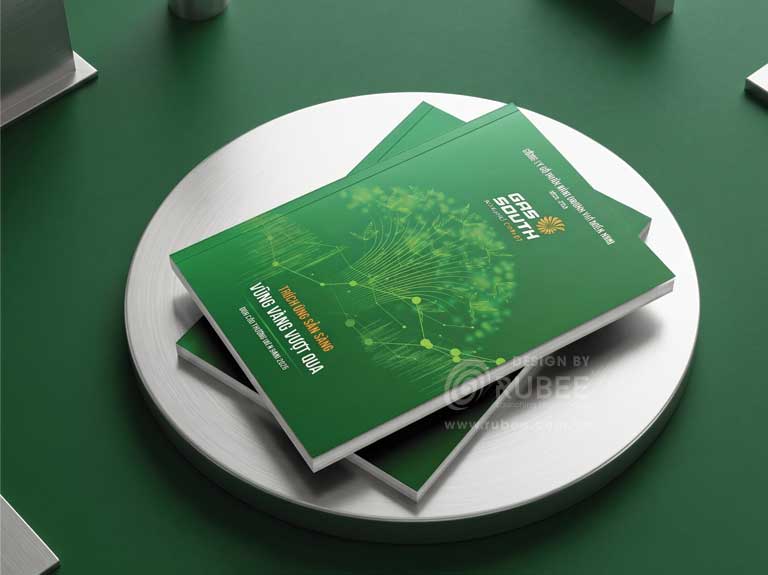 Báo cáo thường niên Gas South 2025 