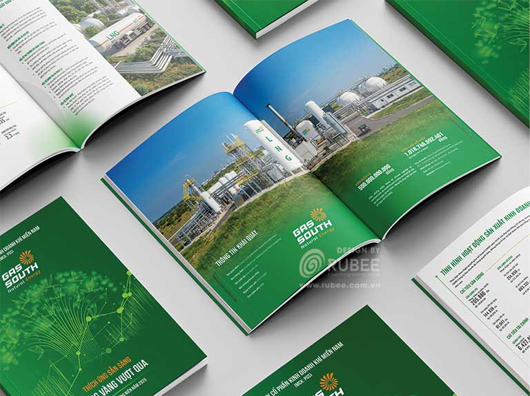Báo cáo thường niên Gas South 2025 