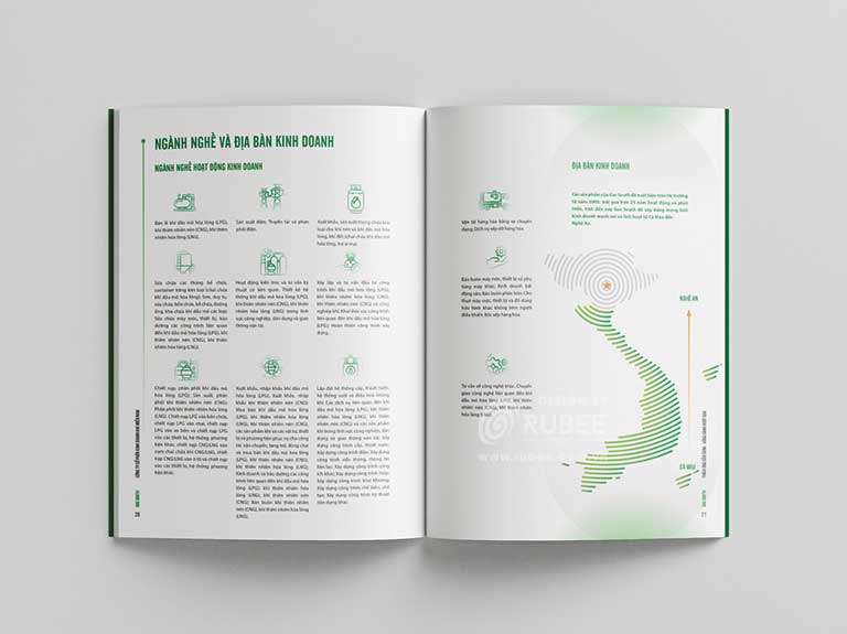 Báo cáo thường niên Gas South 2025 