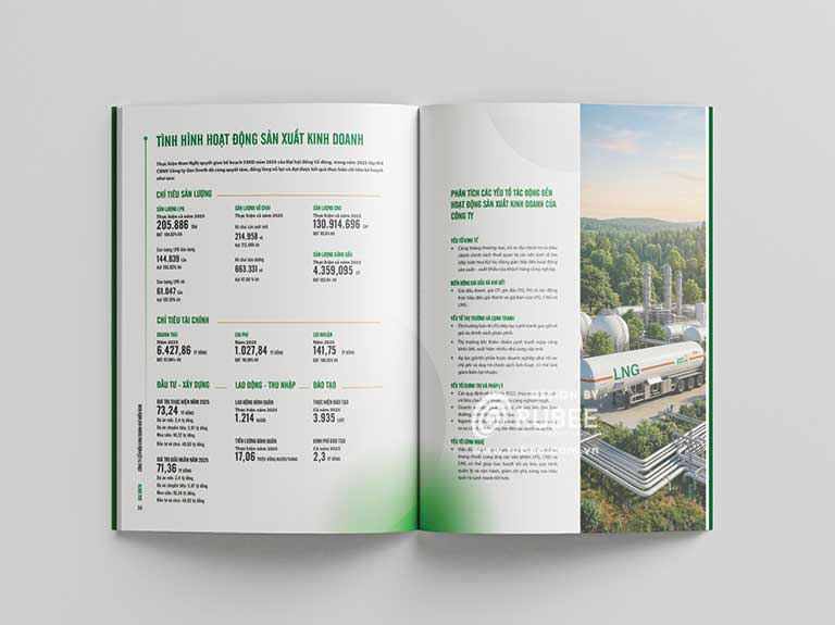 Báo cáo thường niên Gas South 2025 