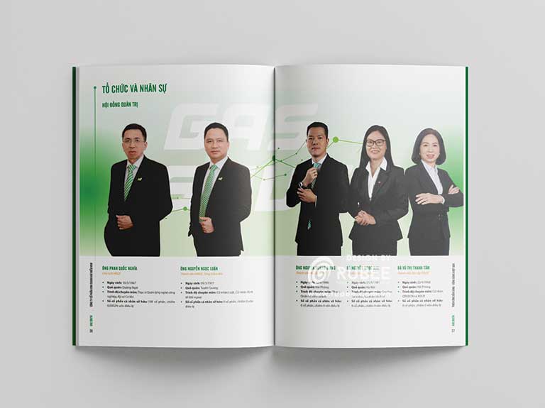 Báo cáo thường niên Gas South 2025 